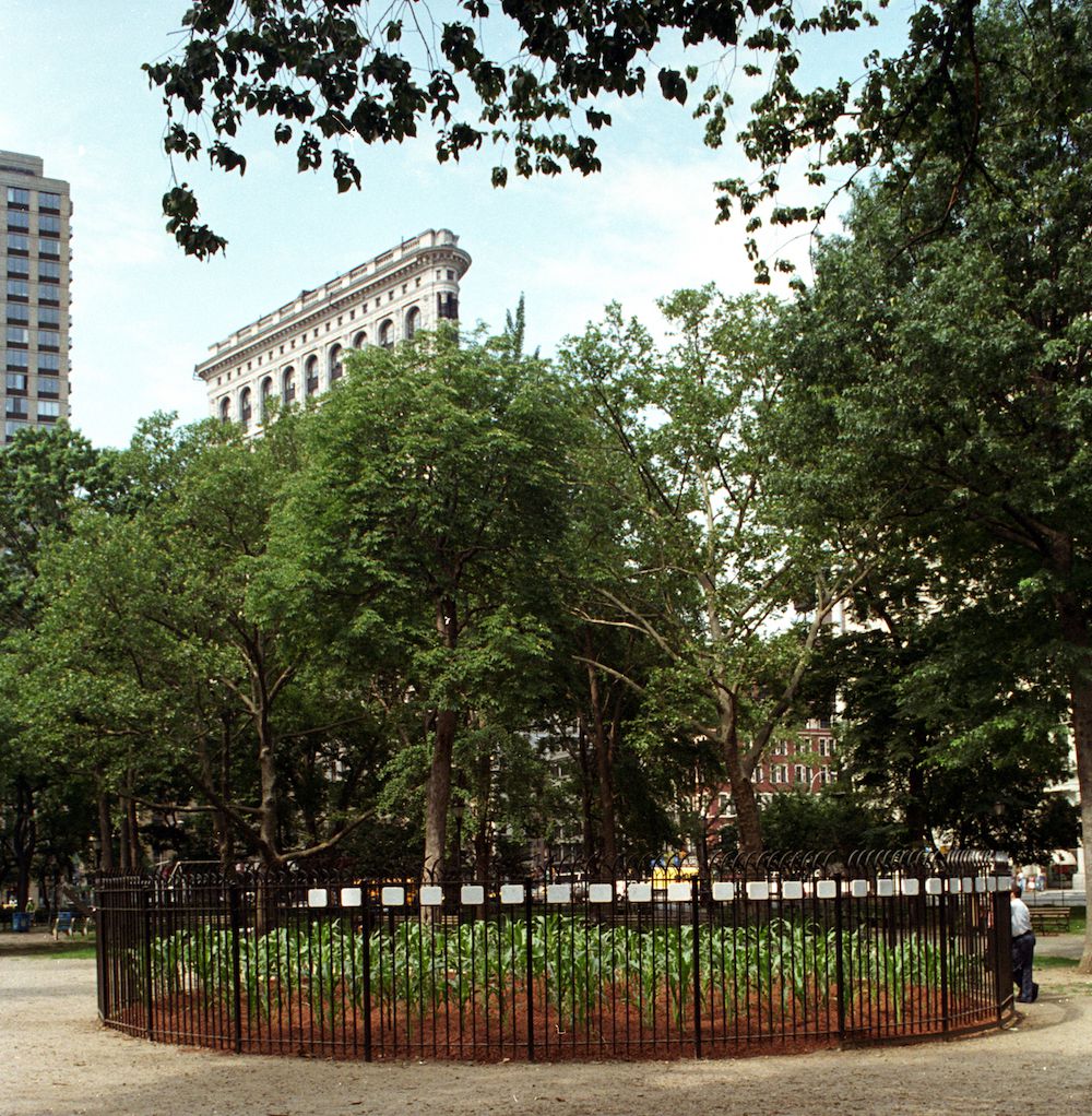 Melinda Hunt, Circle of Hope, 1994, Madison Square Park, Manhattan, Courtesy of Melinda Hunt. Melinda Hunt planted a small fenced-in cornfield called Circle of Hope (1994) in then-unrenovated Madison Square Park to commemorate the anonymous dead of the potter’s field that once occupied the site.<br/>